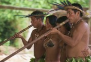 Indian dancers and music, Amazon, Brazil