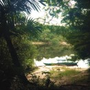 Amazon River, Brazil